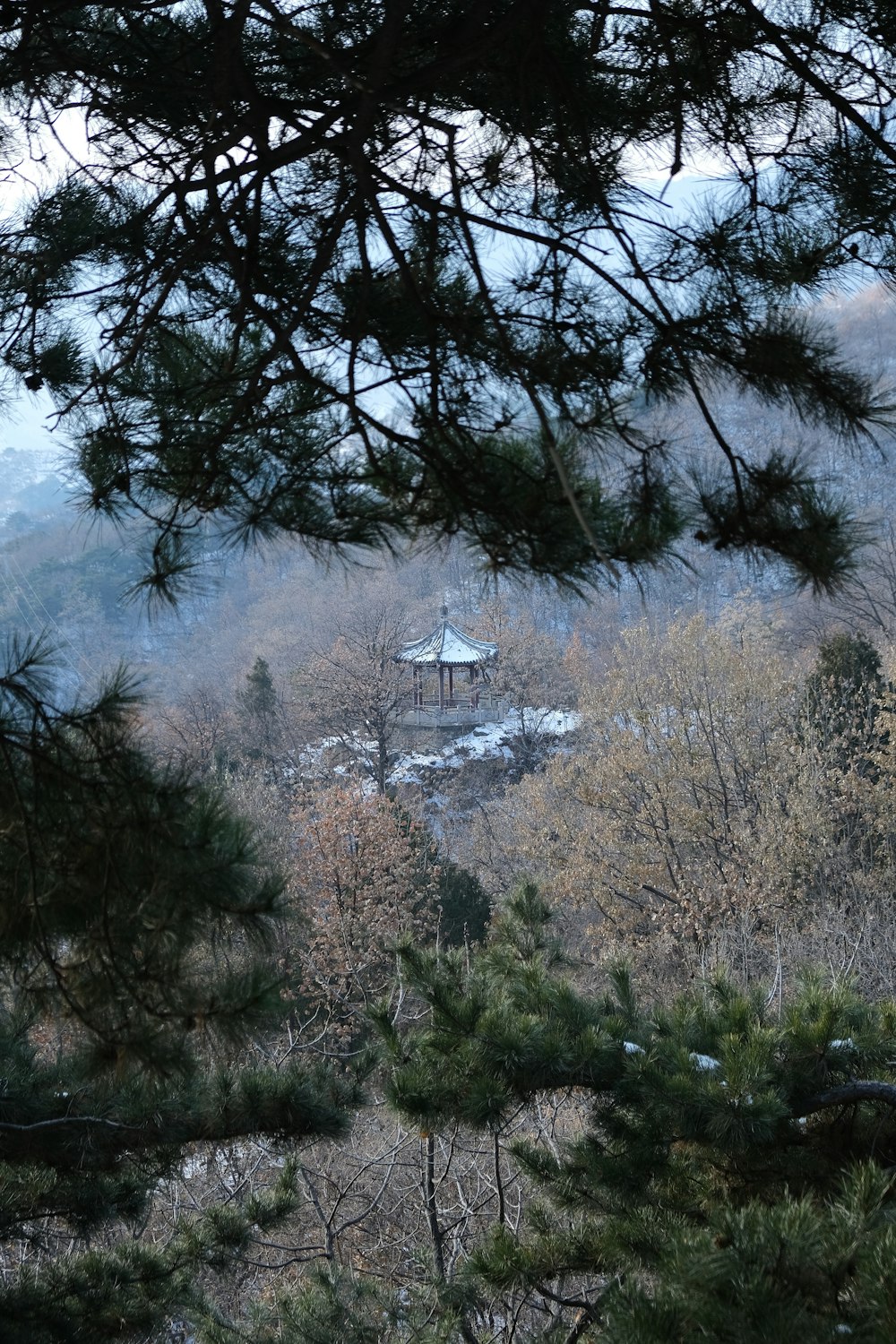 a view of a tower through the trees