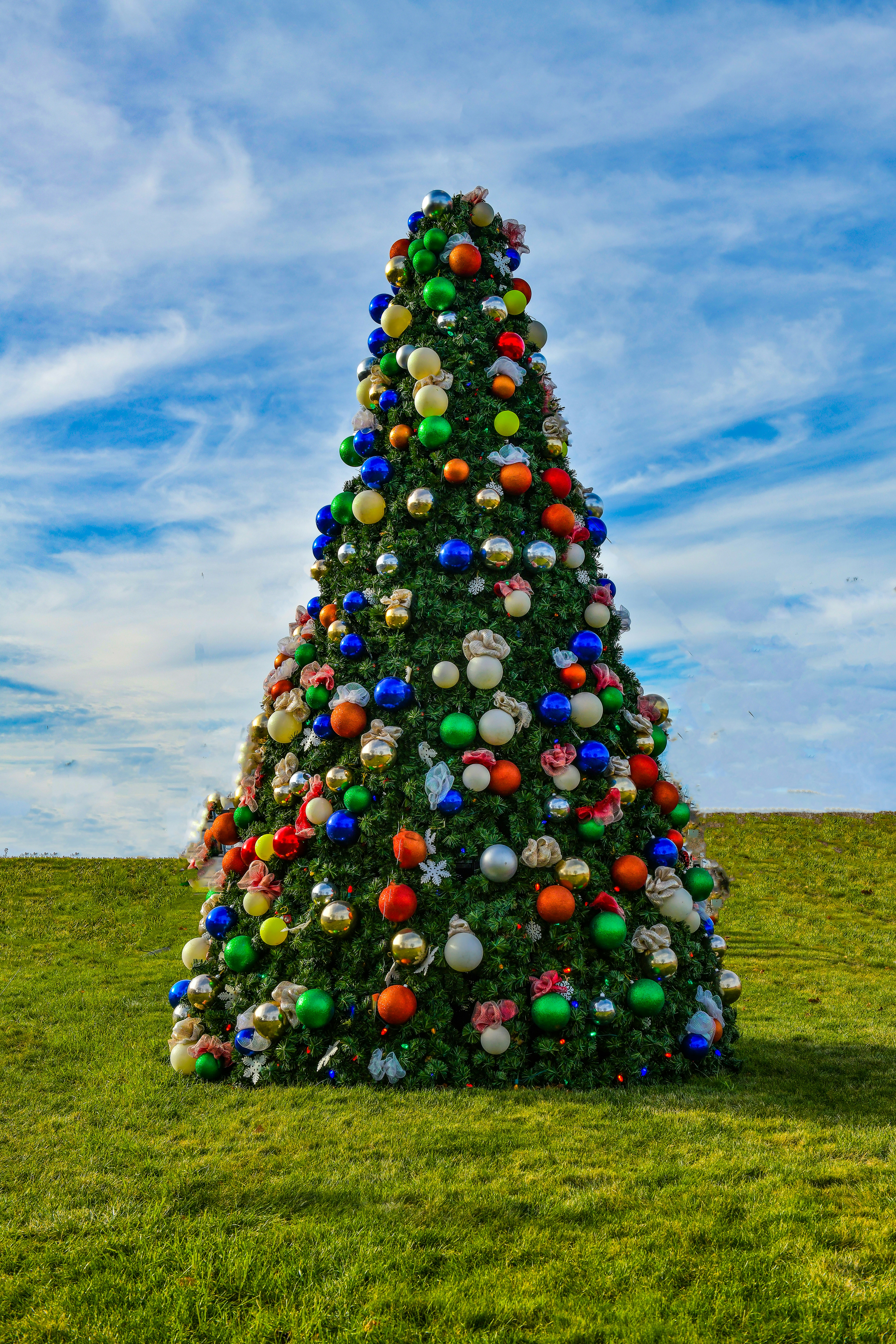 ein großer Weihnachtsbaum mitten auf einem Feld
