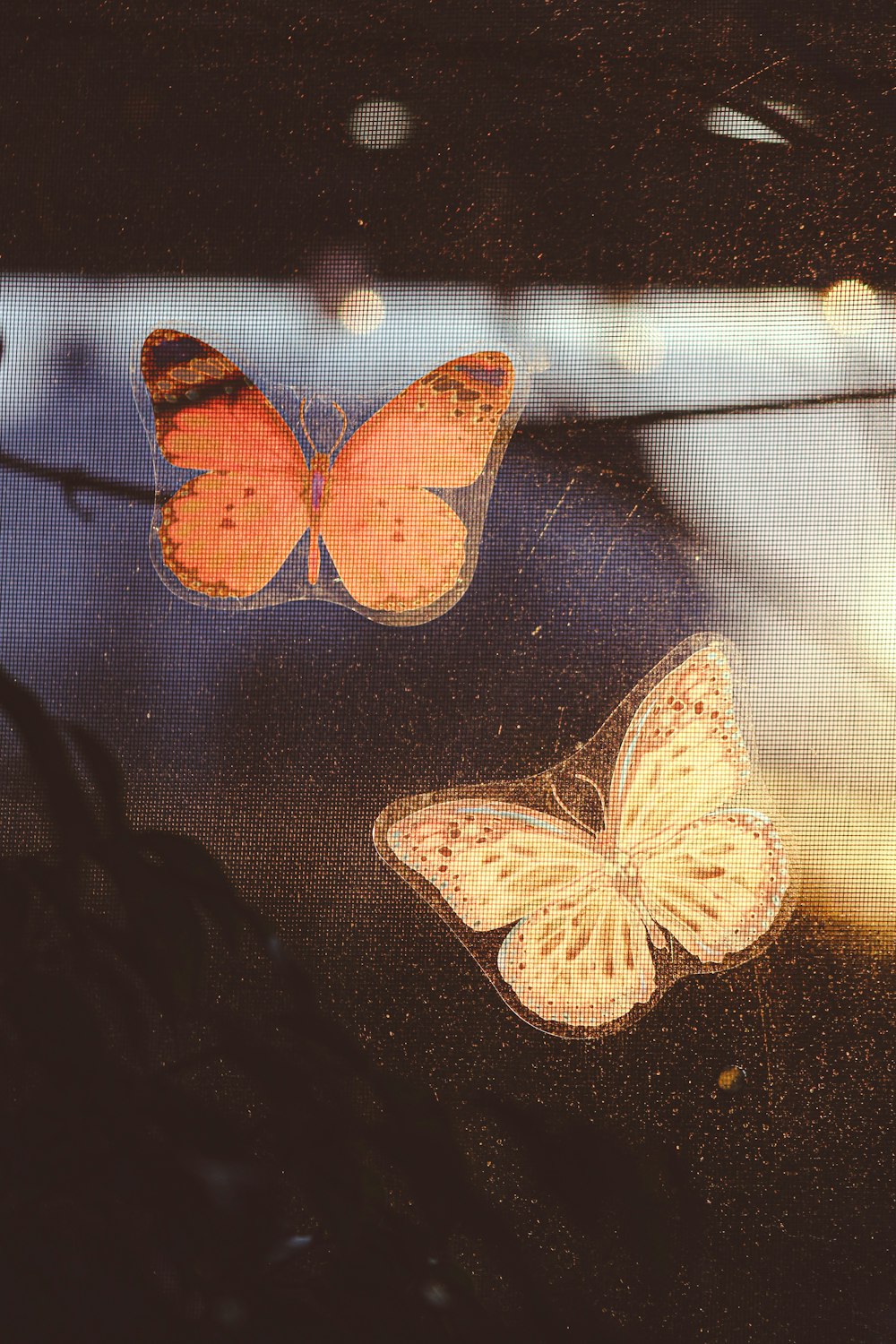 a couple of butterflies that are on a window