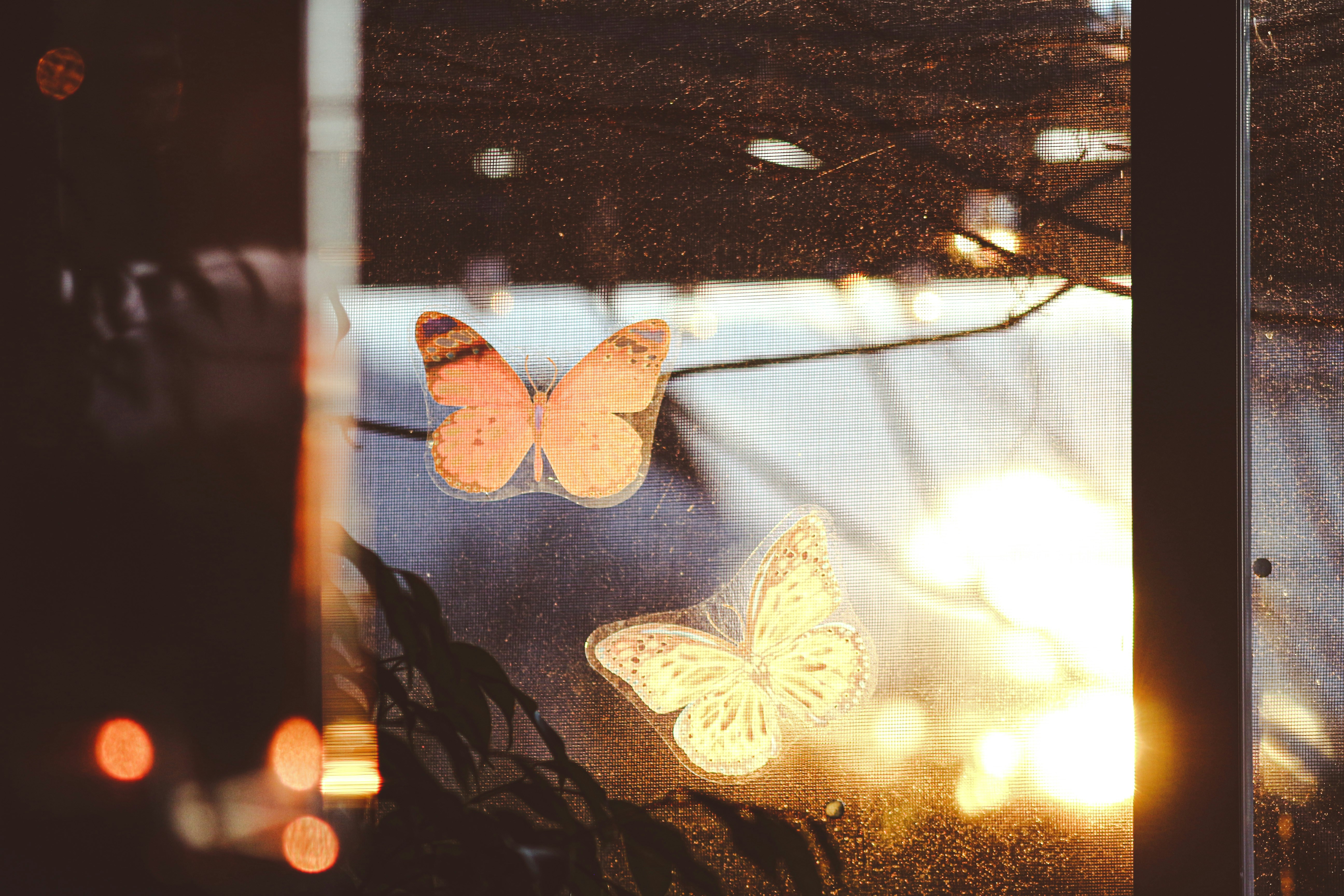 a picture of a window with some butterflies on it