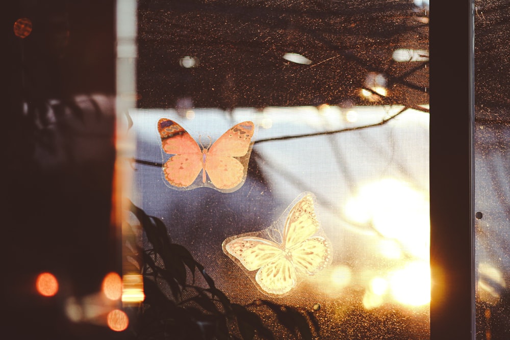 a picture of a window with some butterflies on it