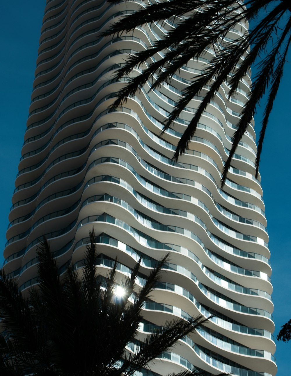 un edificio alto con una palma di fronte