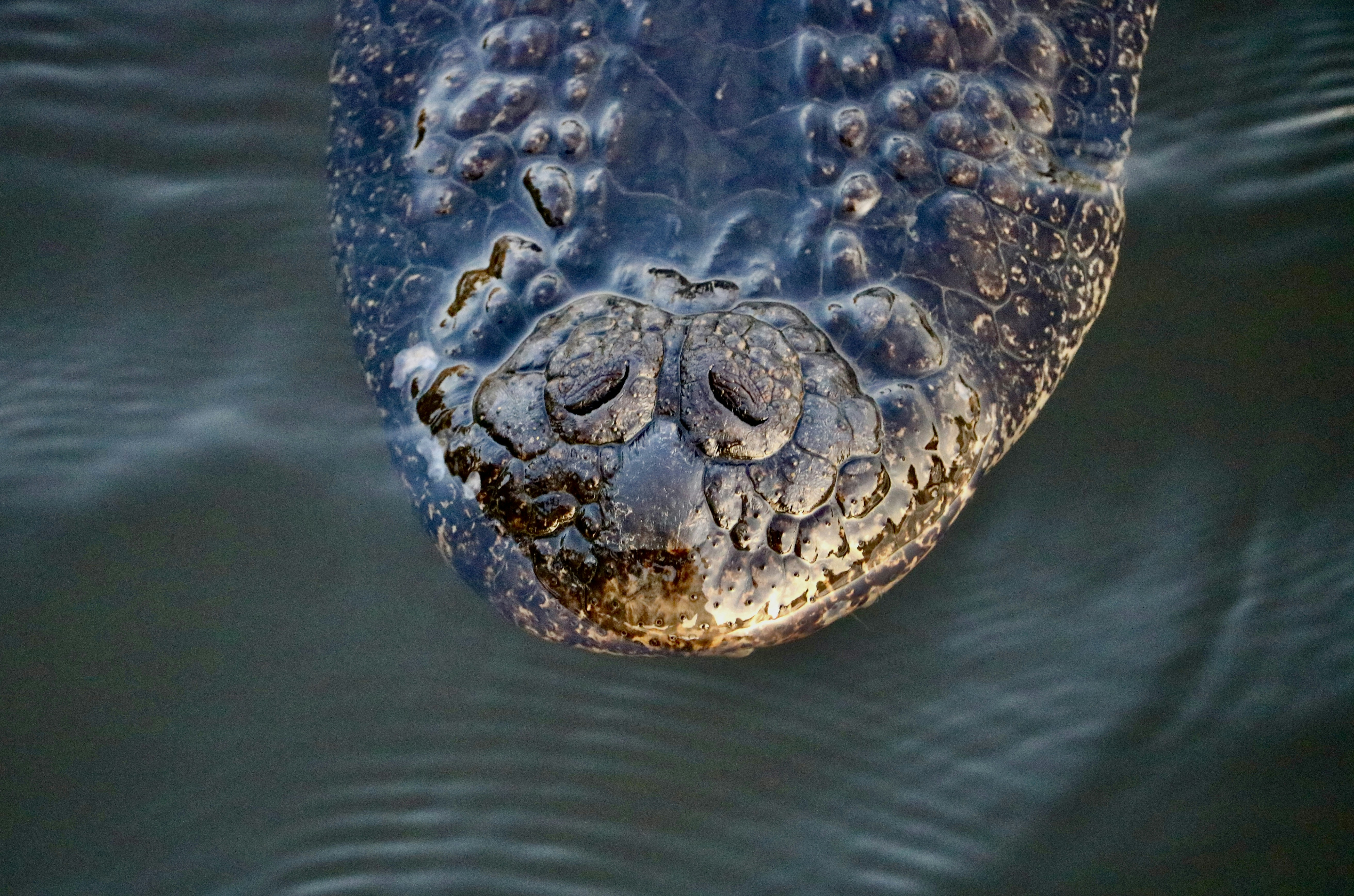 Photo by littlenaturelove