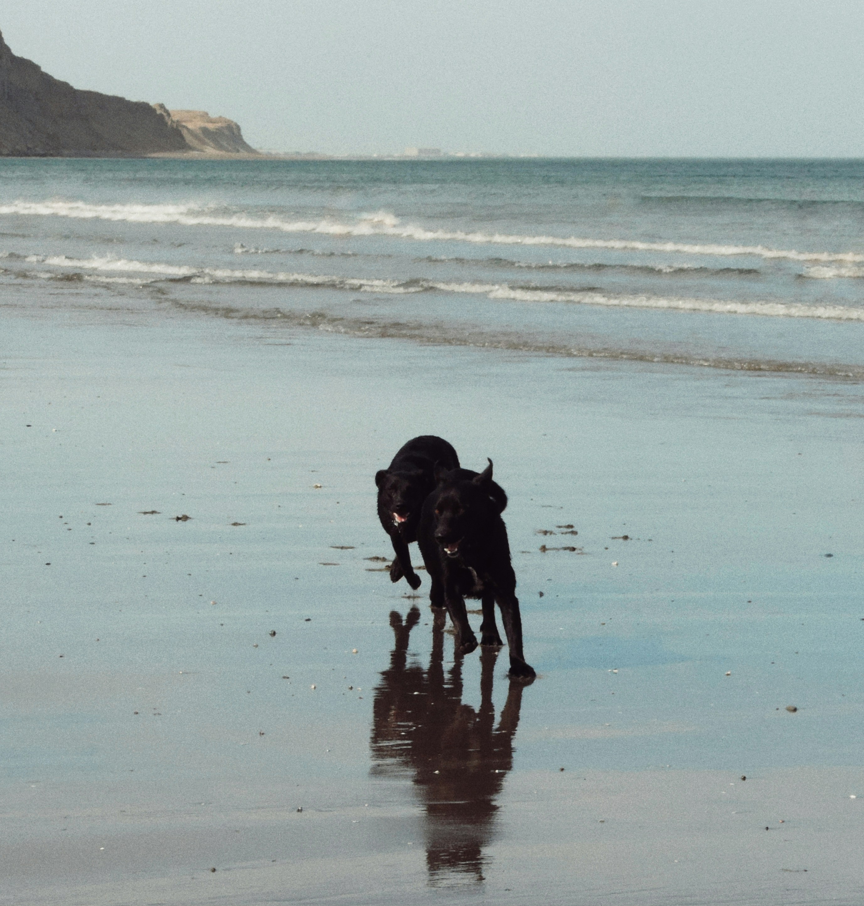 Photo by ibanez_marco