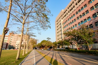 a city street lined with tall buildings and trees