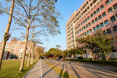 a city street lined with tall buildings and trees