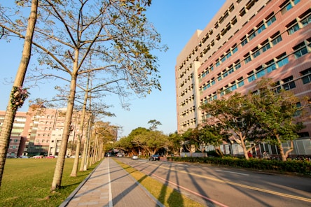 a city street lined with tall buildings and trees
