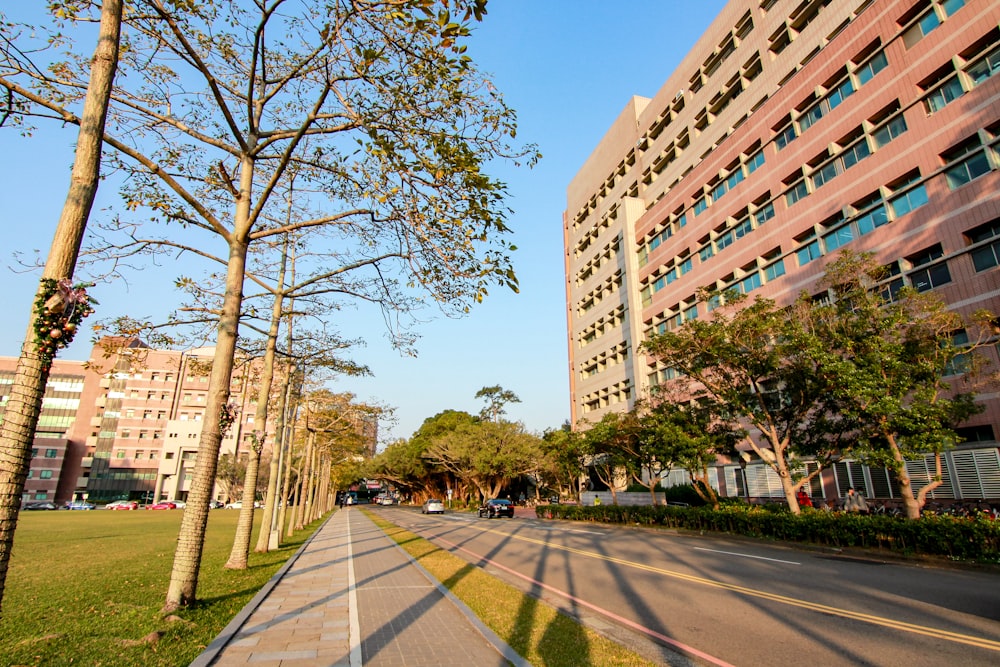 a city street lined with tall buildings and trees