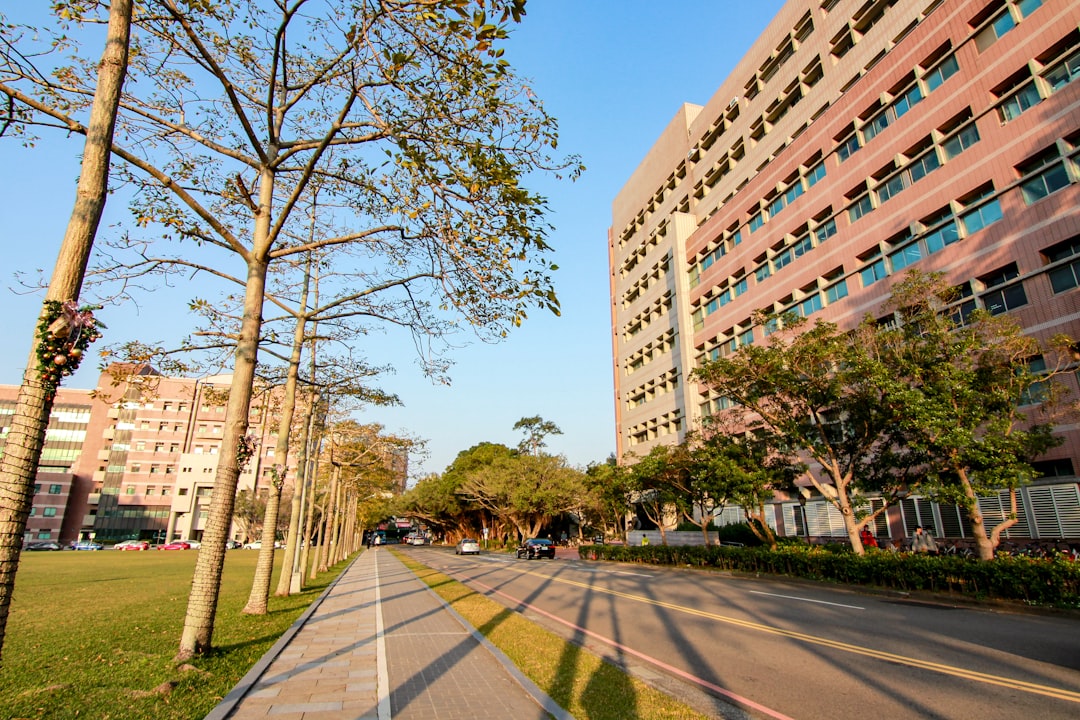 a city street lined with tall buildings and trees