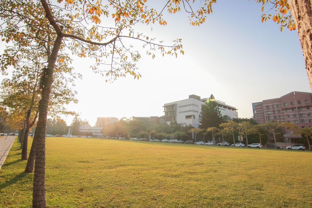 a grassy field with a building in the background