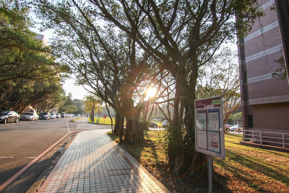 the sun is shining through the trees on the side of the road