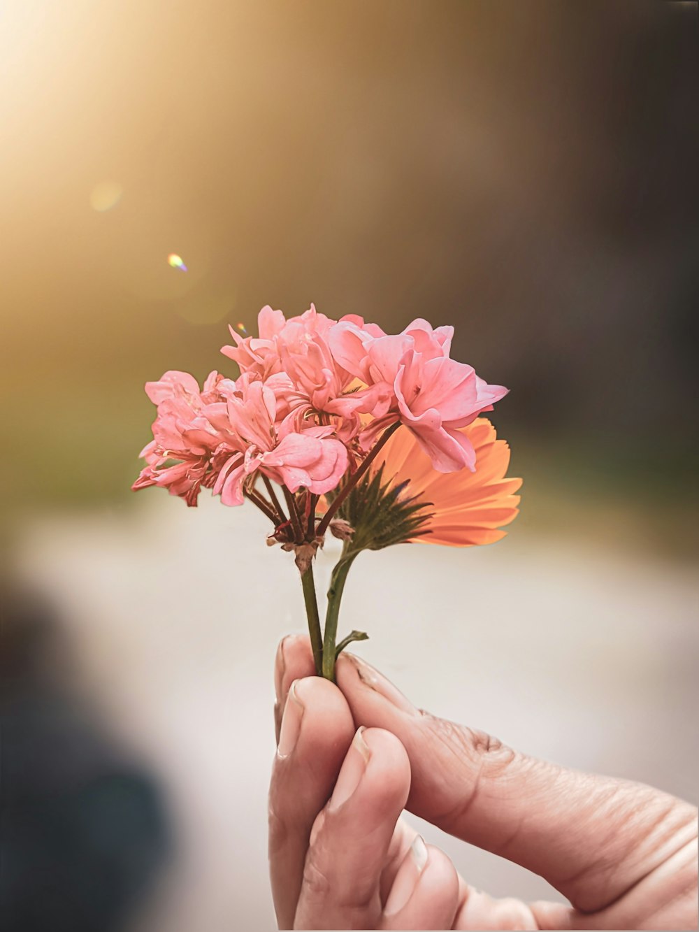 a person holding a pink flower in their hand