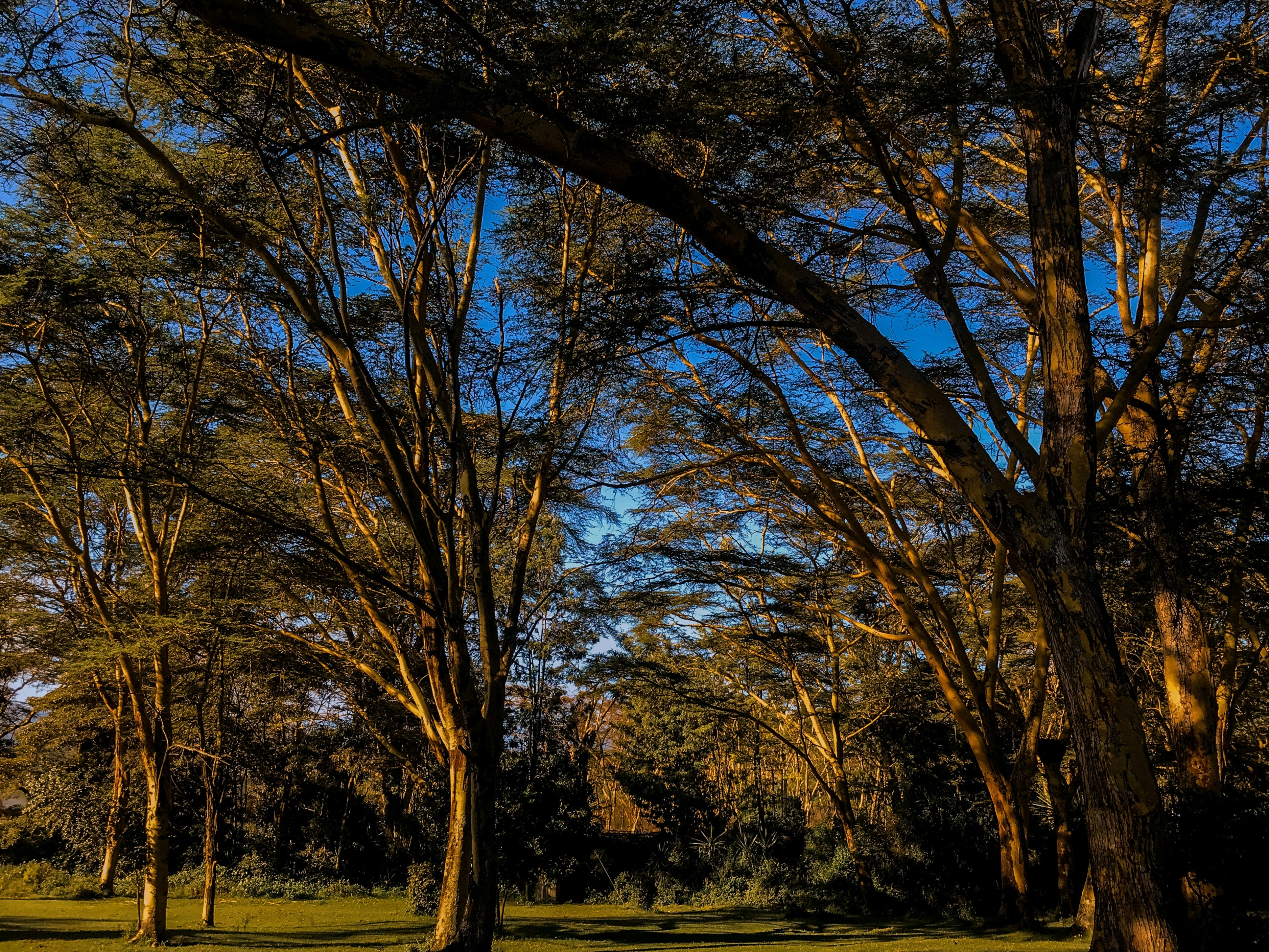 Naivasha travel photo