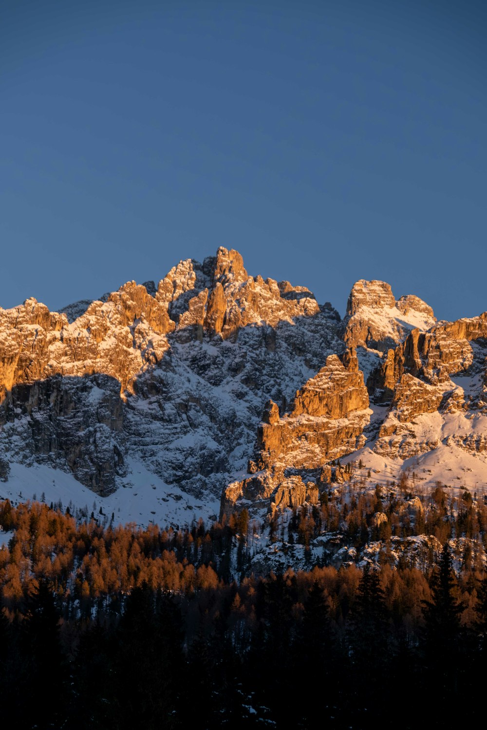 a snow covered mountain with trees in the foreground