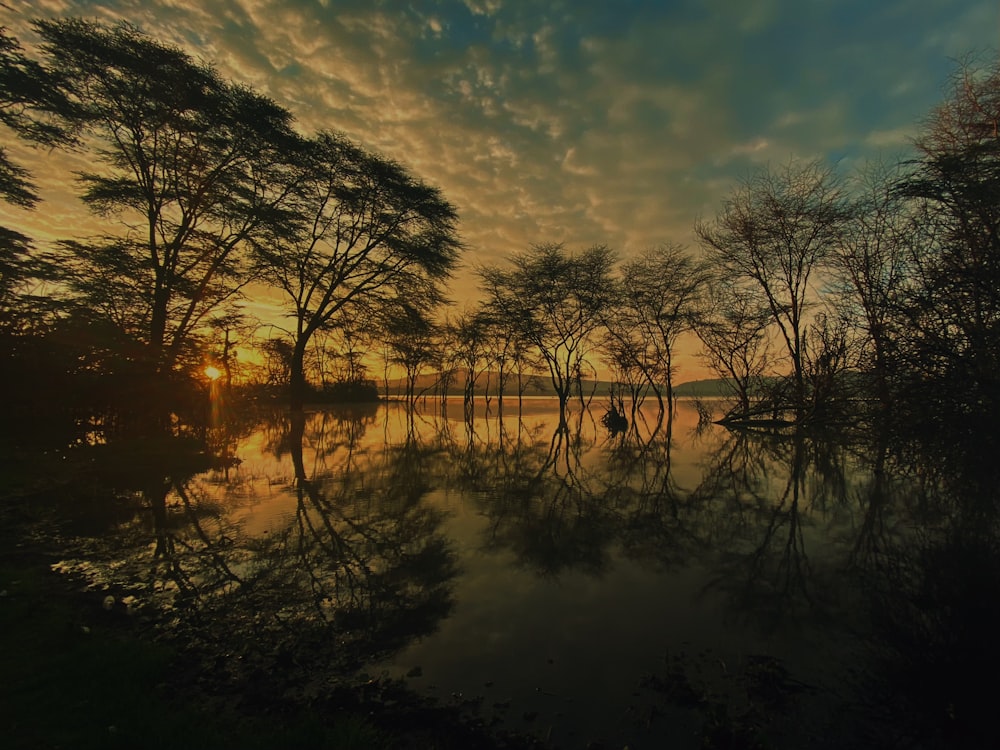 the sun is setting over a lake surrounded by trees