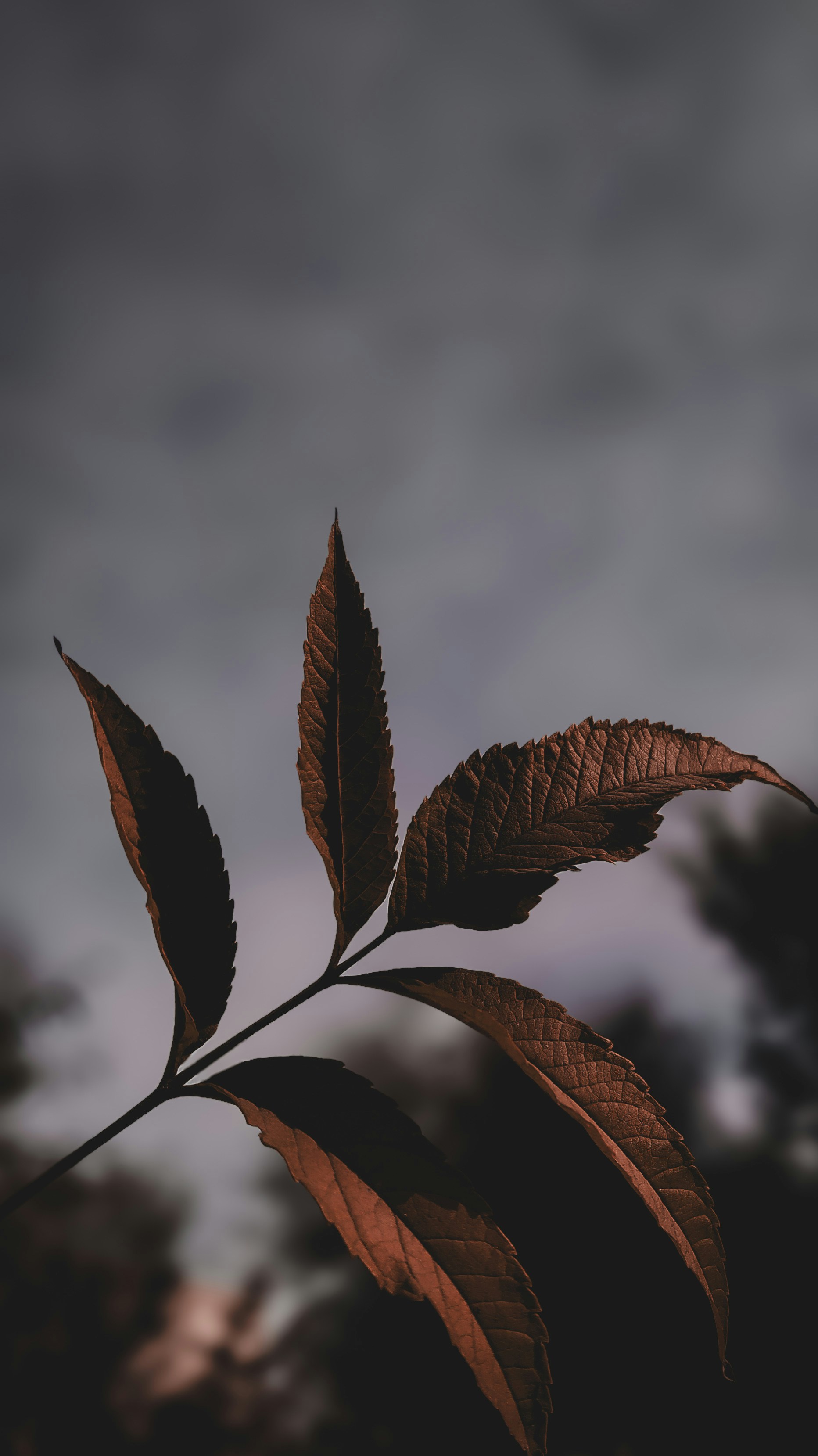 Photo by theclickfilms