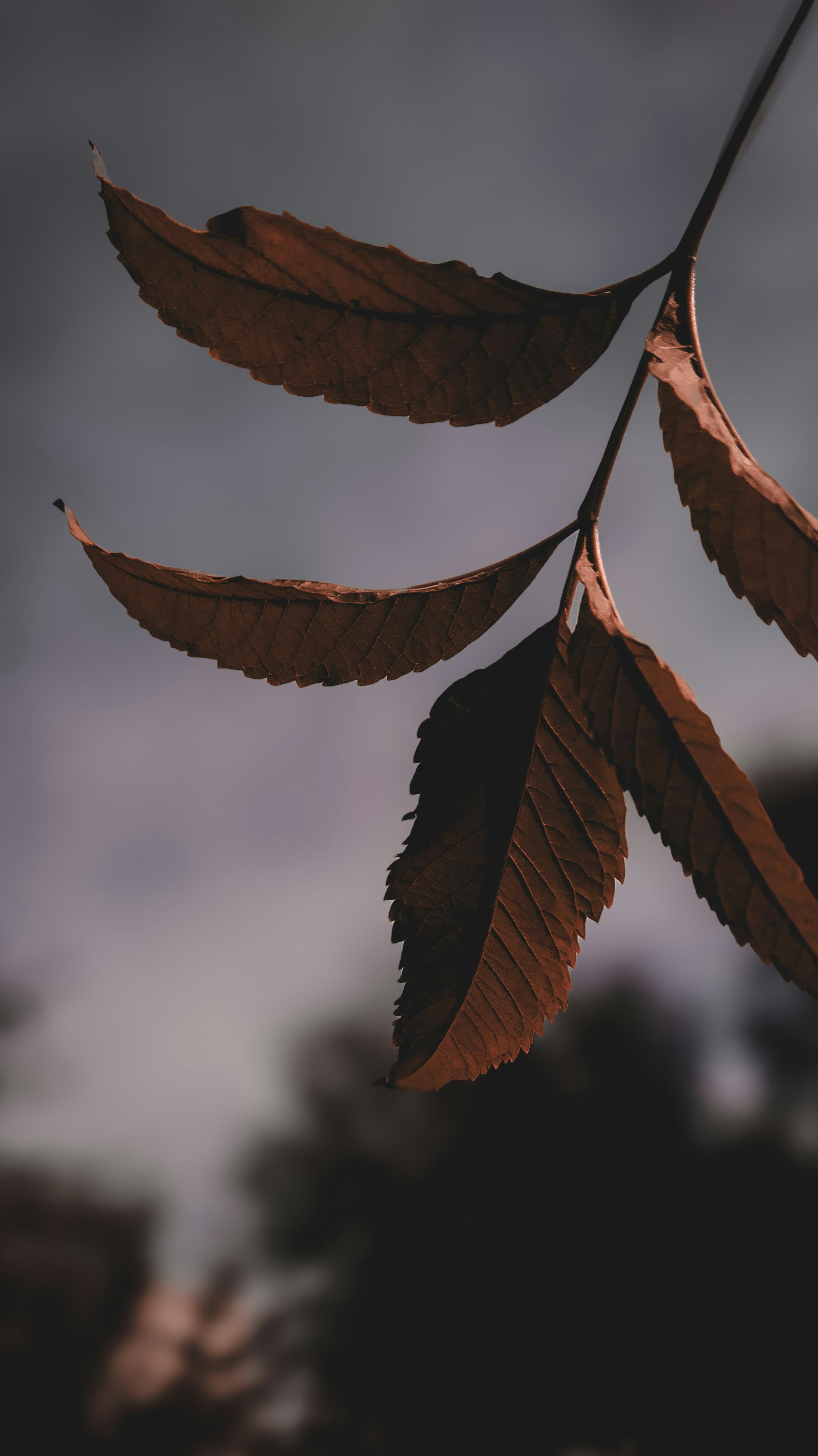 Photo by theclickfilms