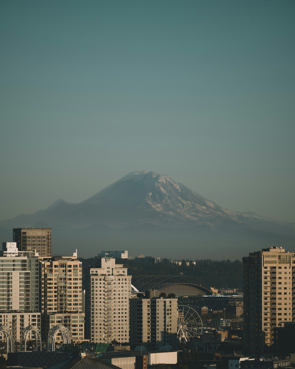 a view of a city with a mountain in the background