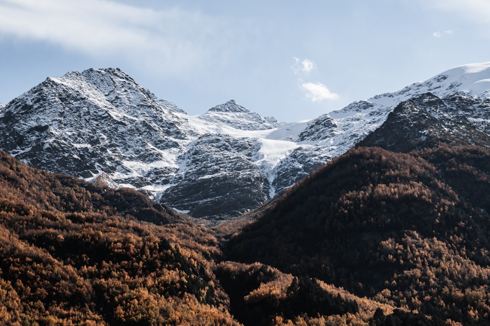 a view of a snowy mountain range with trees in the foreground