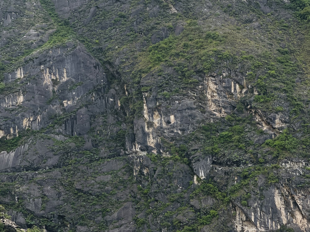 a large mountain with trees growing on the side of it