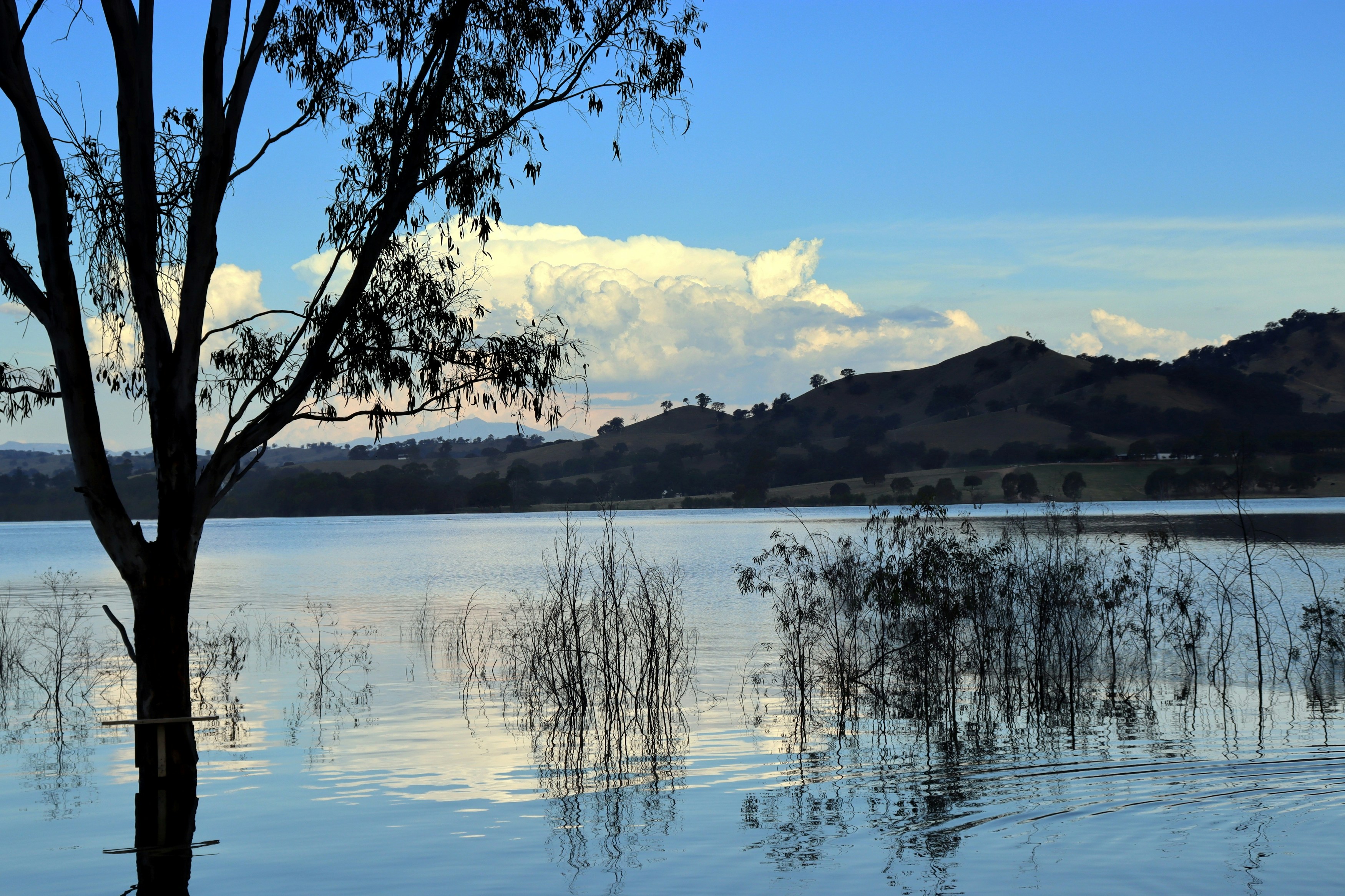 Photo by craigmanners_com