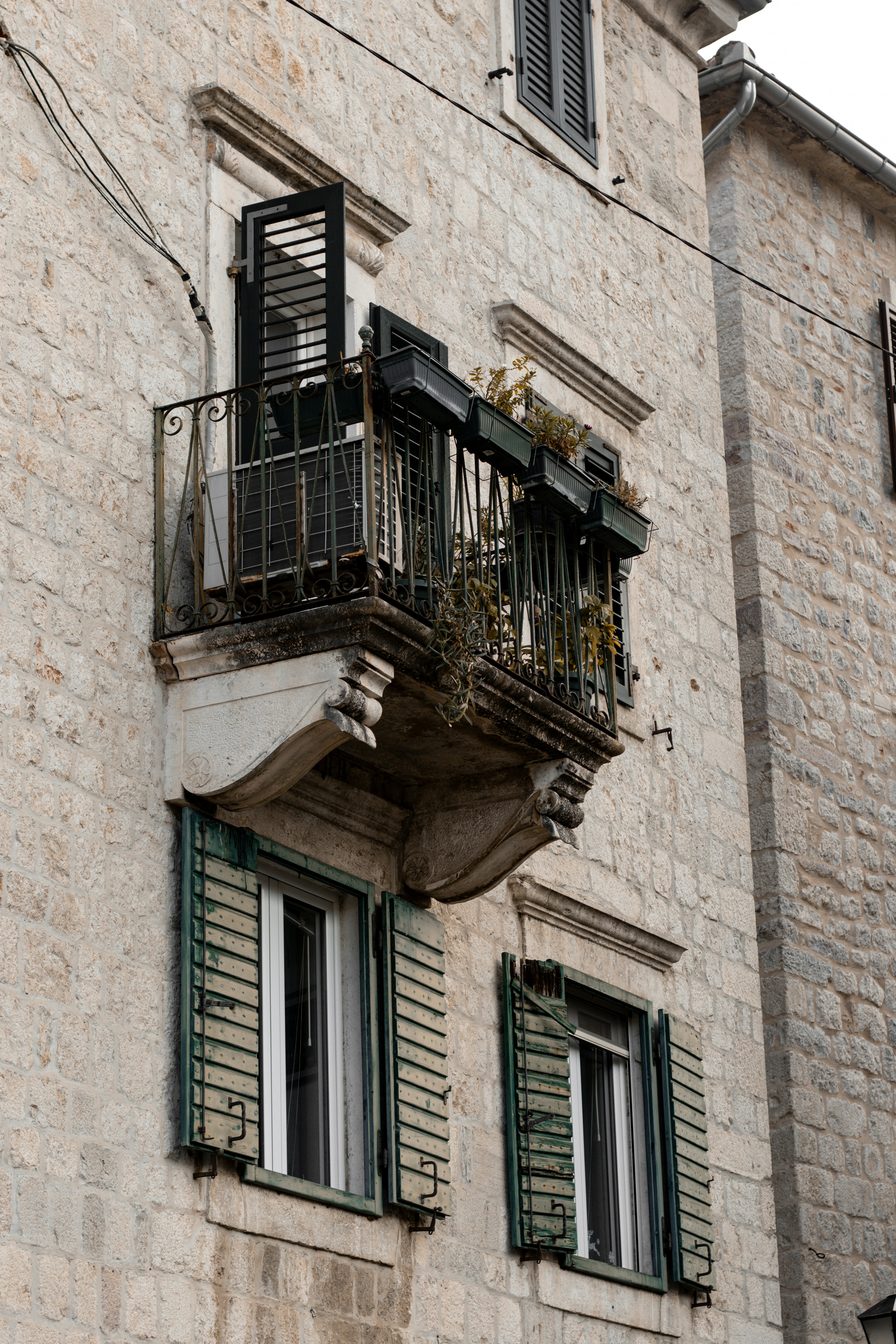 Photo by viktoriia_kondratiuk