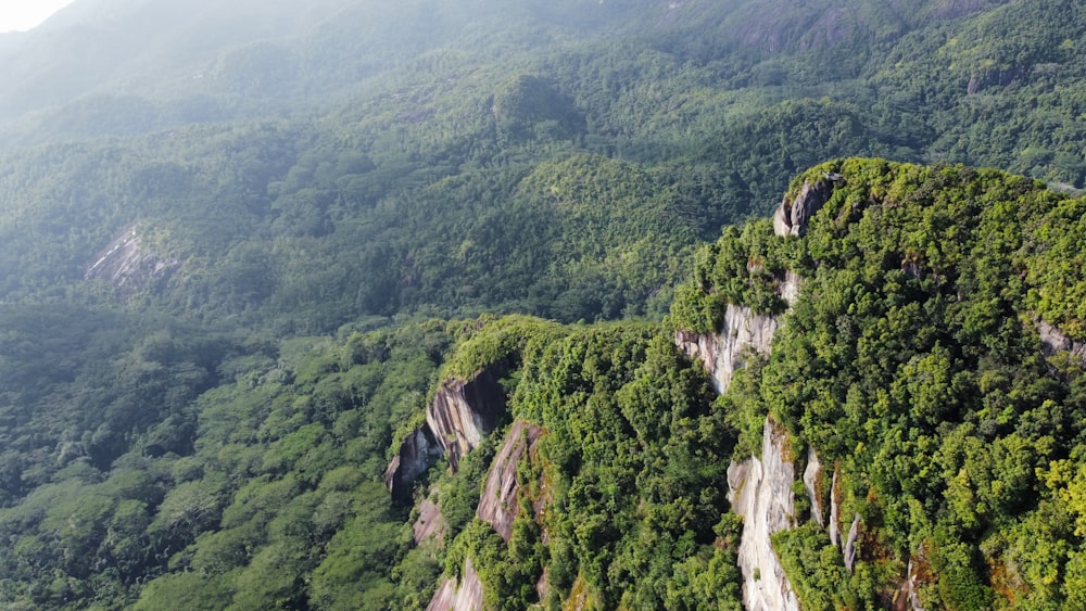 a view of a mountain side with trees on it