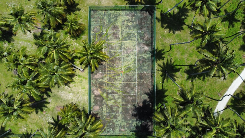 an aerial view of a park with palm trees