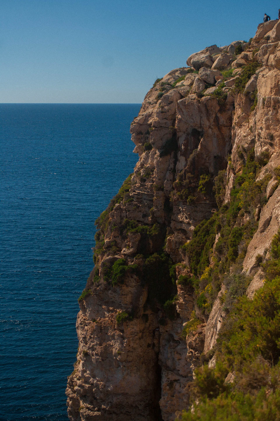 Person sits on cliff edge overlooking vast expanse of ocean with lush green vegetation