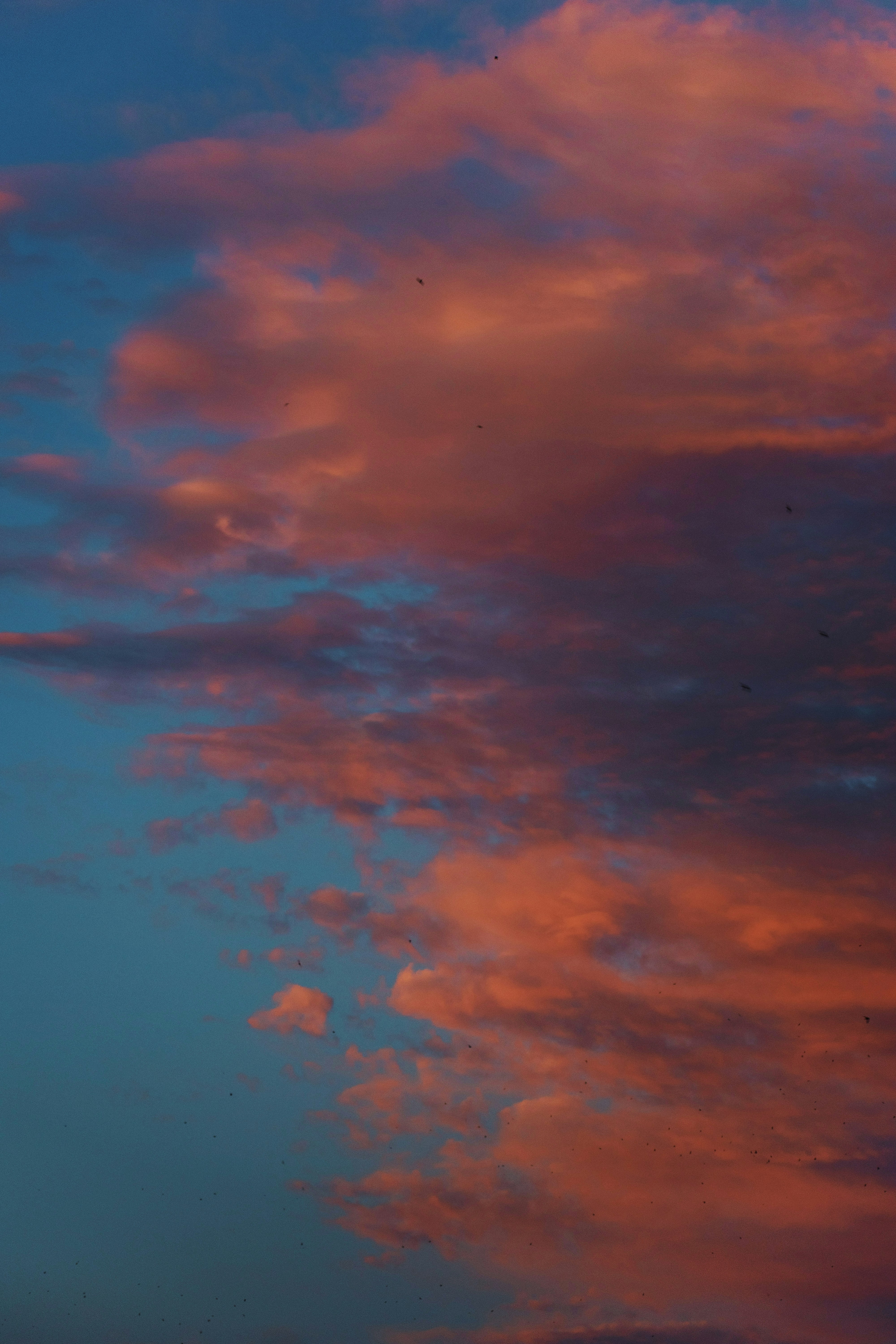 ein Flugzeug, das bei Sonnenuntergang am Himmel fliegt