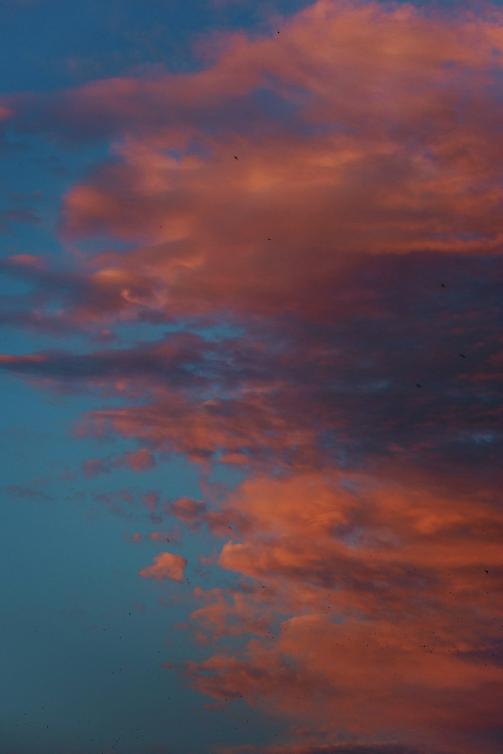 a plane flying in the sky at sunset