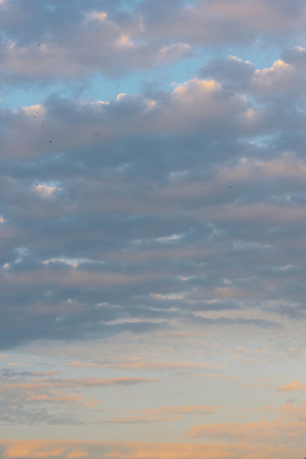 a group of people standing on top of a hill under a cloudy sky