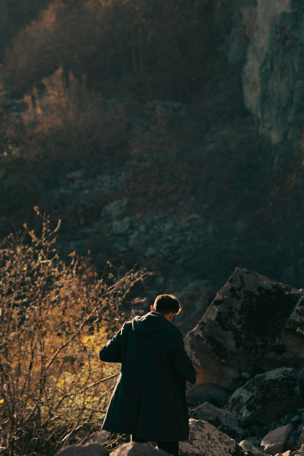 a person standing on a rock in the woods