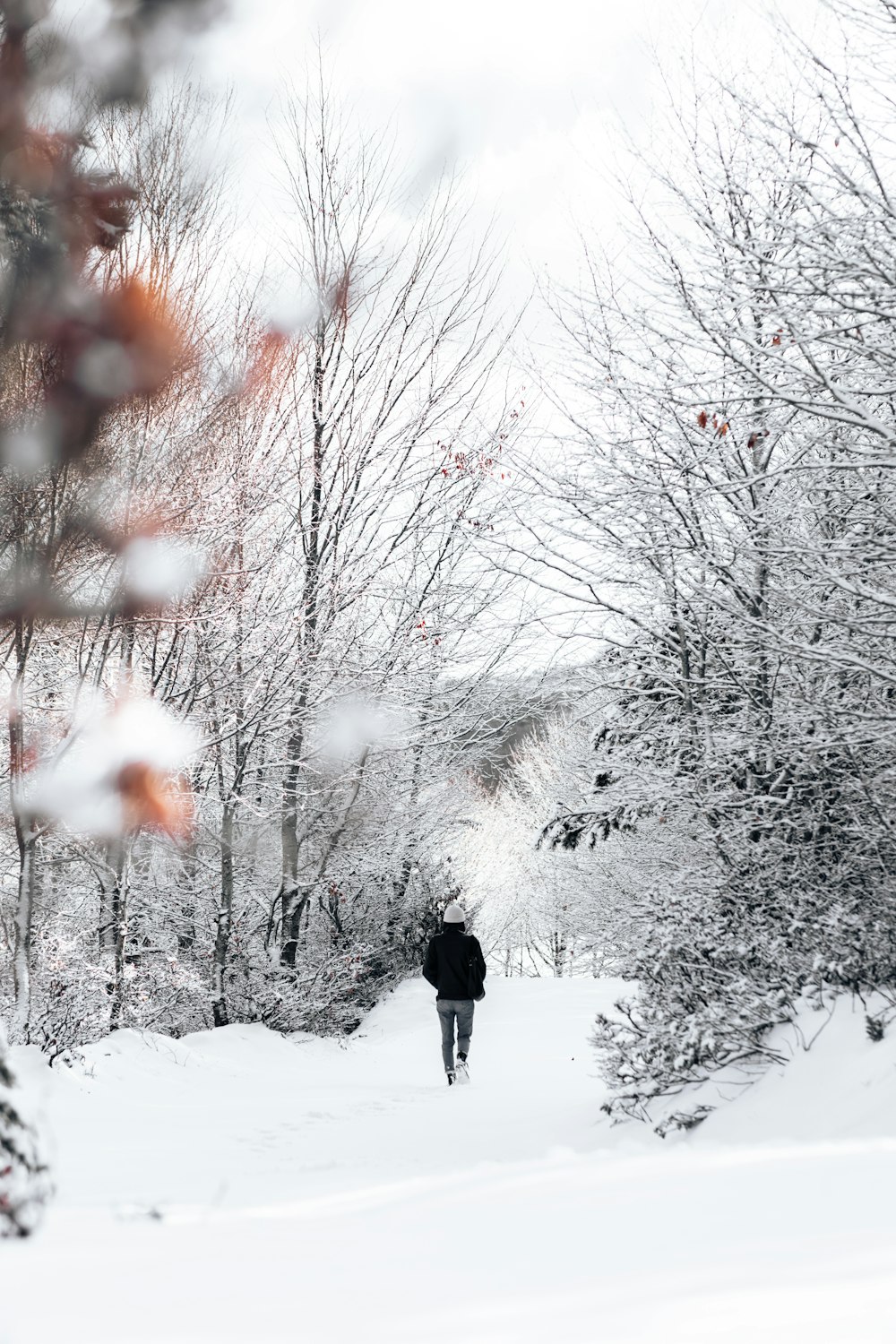 a person walking through a snow covered forest