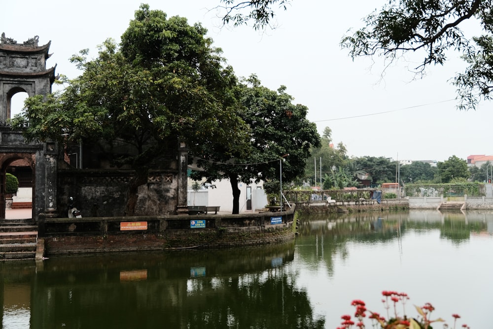 a body of water surrounded by trees and buildings