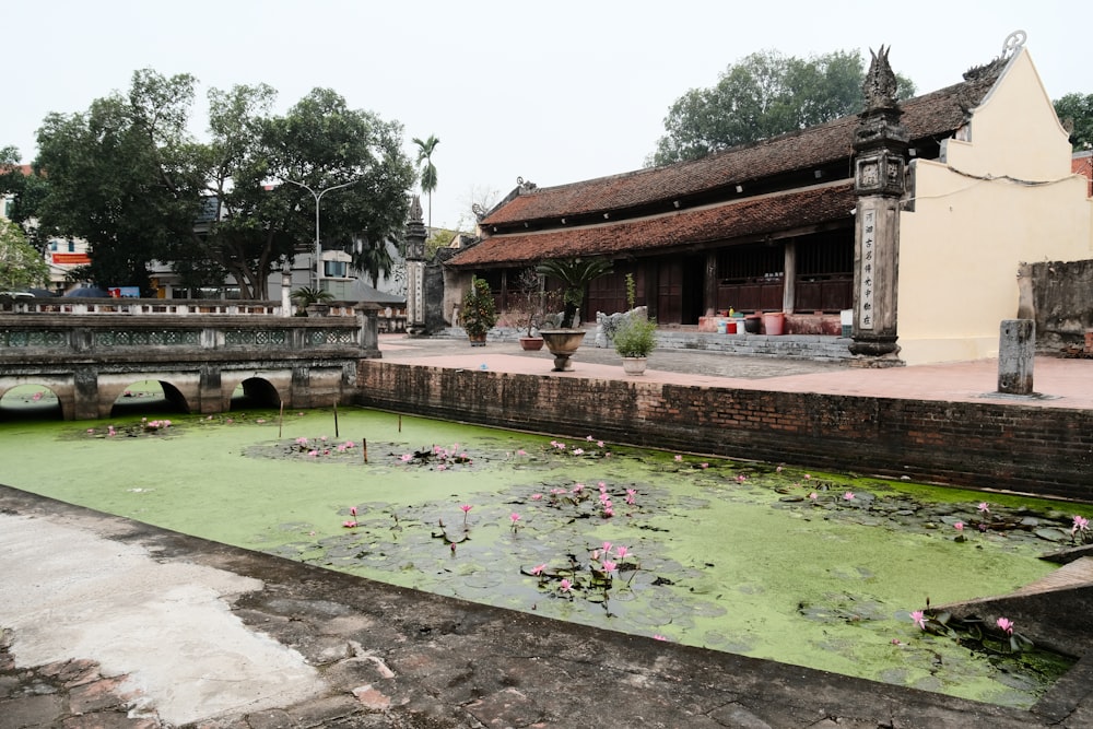 a building with a pond in front of it