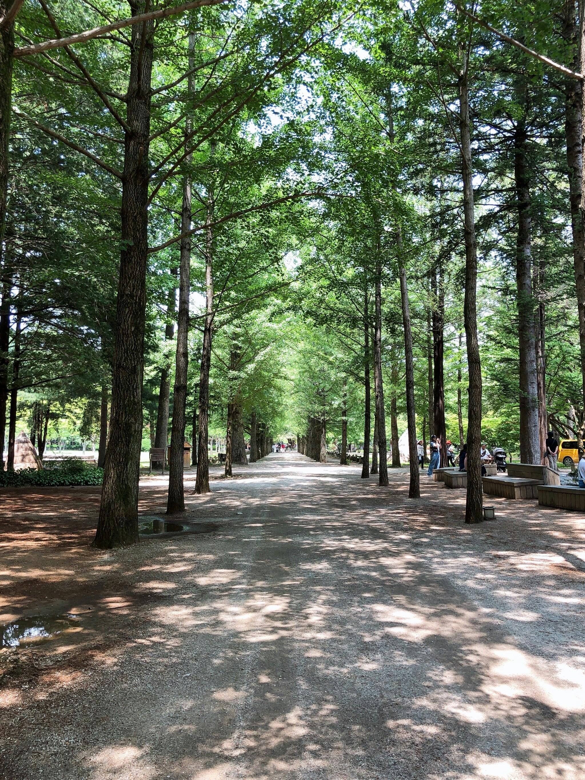 a group of people sitting on benches in the middle of a forest