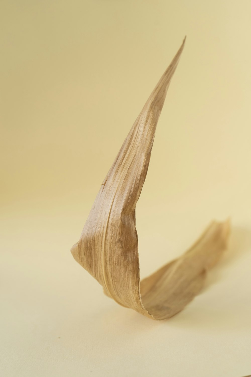 un pezzo di legno seduto sopra un tavolo