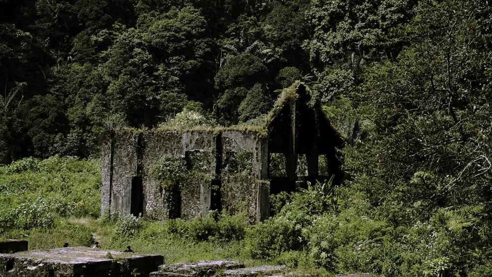 a run down building in the middle of a forest