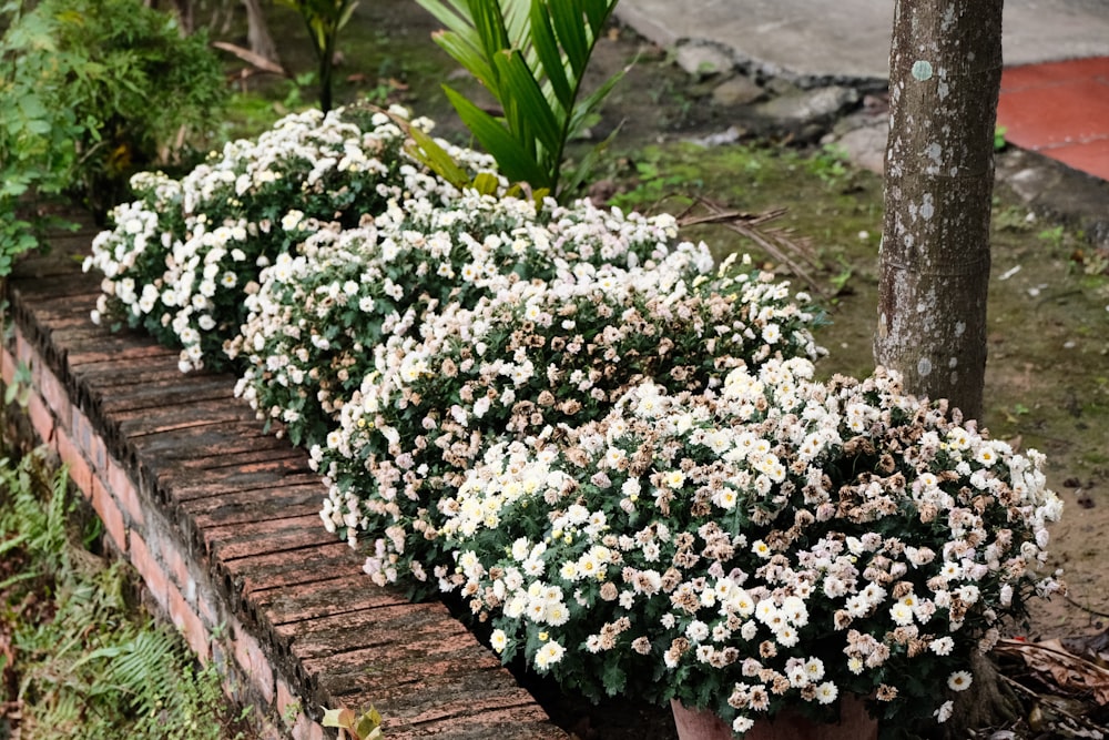 a bunch of flowers that are on a brick wall