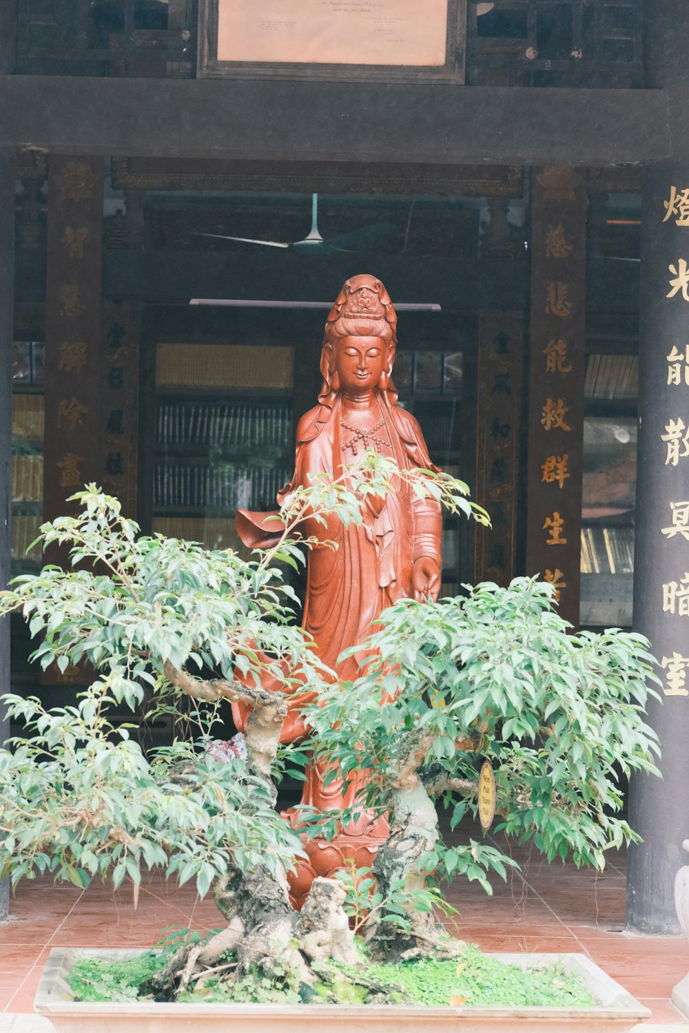 a statue of a buddha surrounded by trees