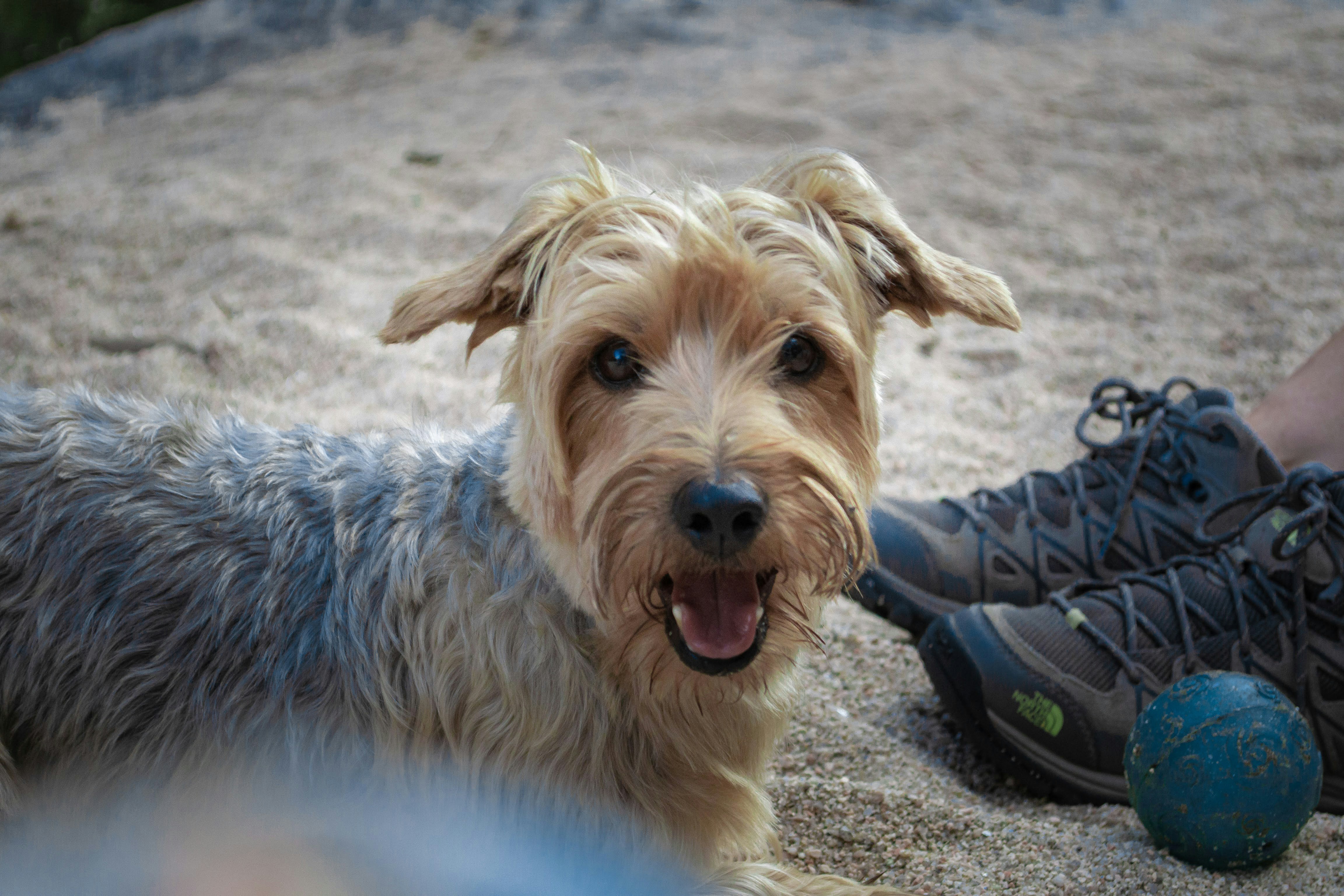 Photo by diseniatica