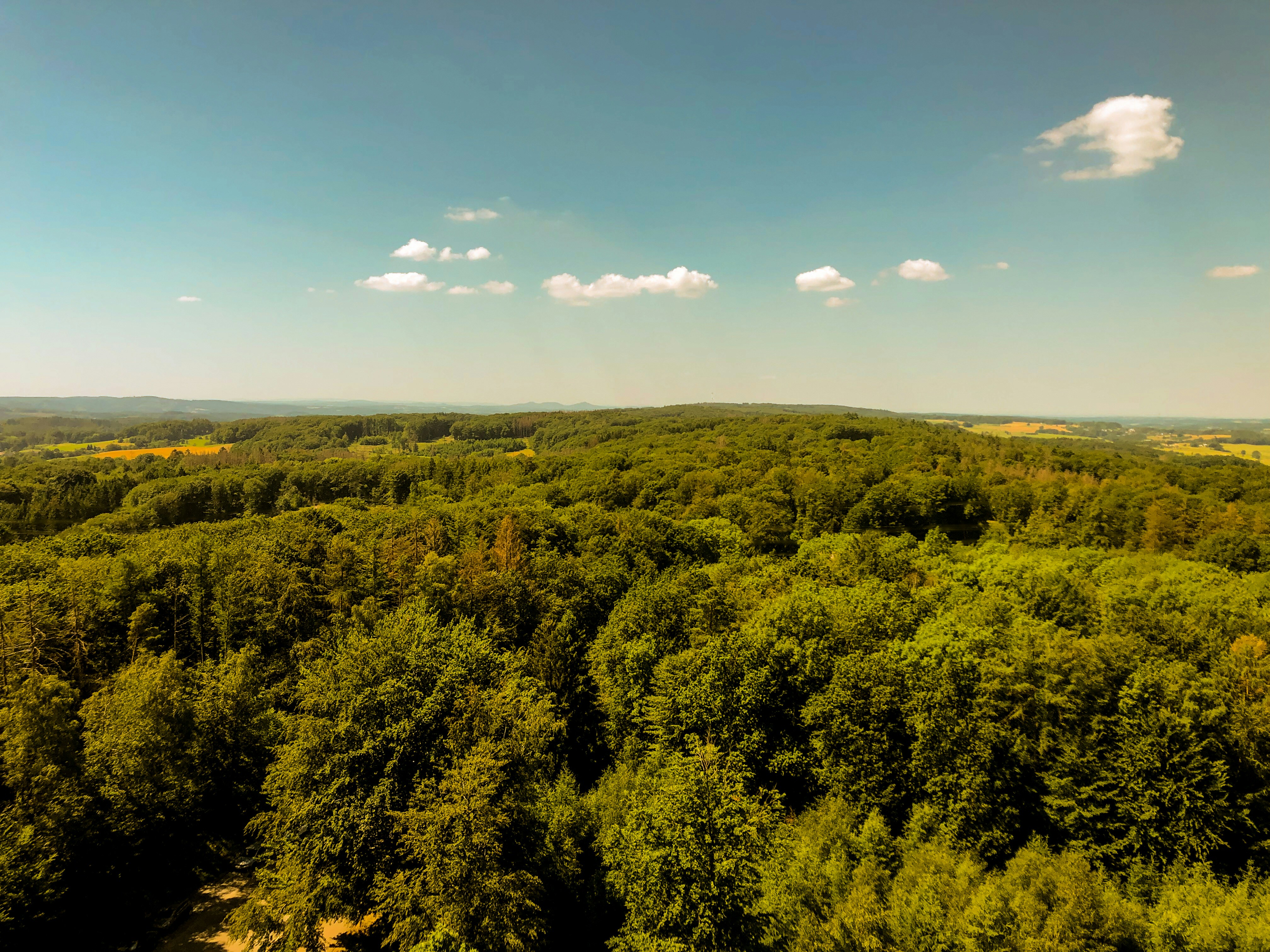 Photo by hawkins2023