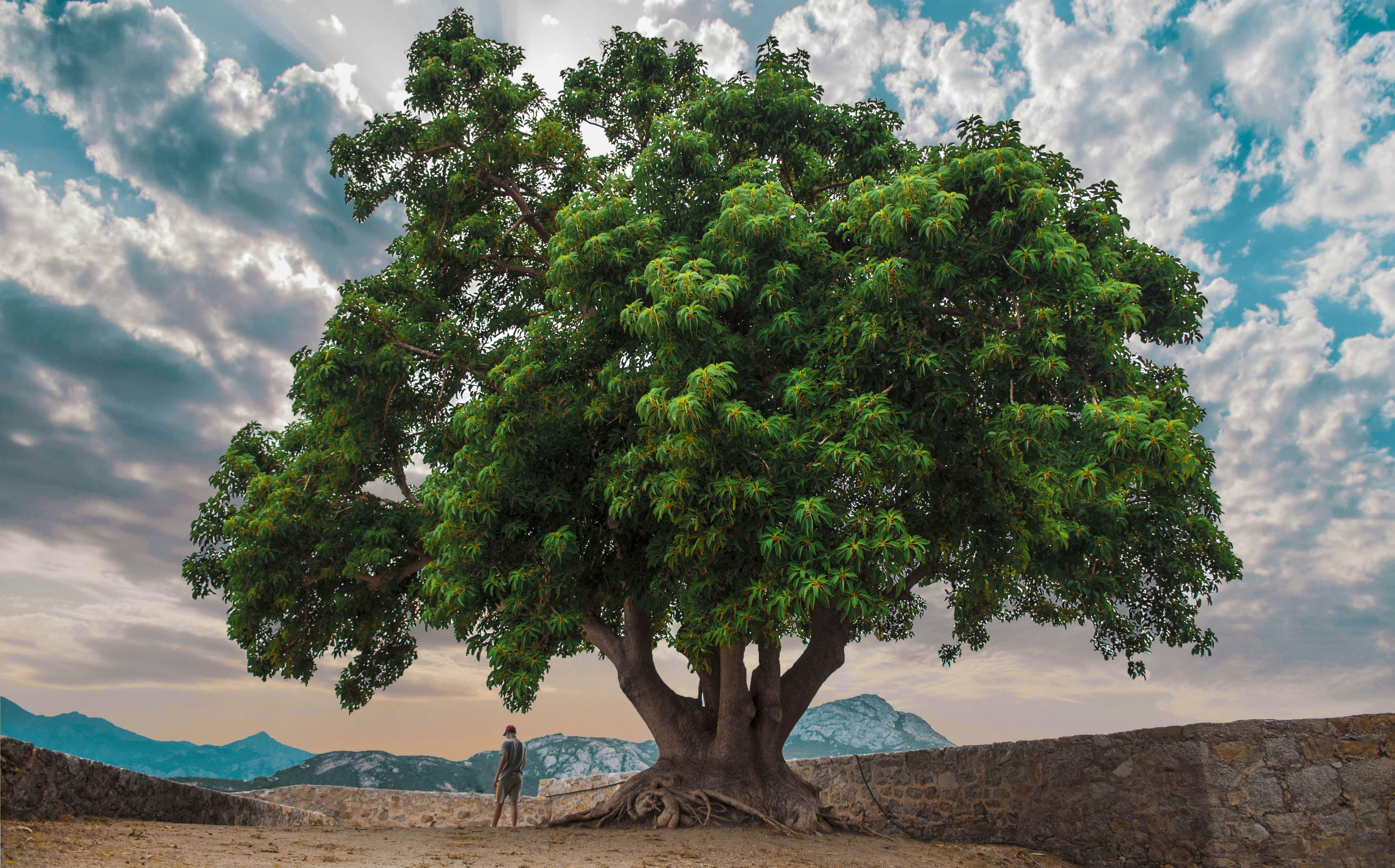 photo 1706098070003 987c68ee76d7?w=800&auto=format&fit=crop&q=60&ixlib=rb 4.0 Post Making a Nation Great