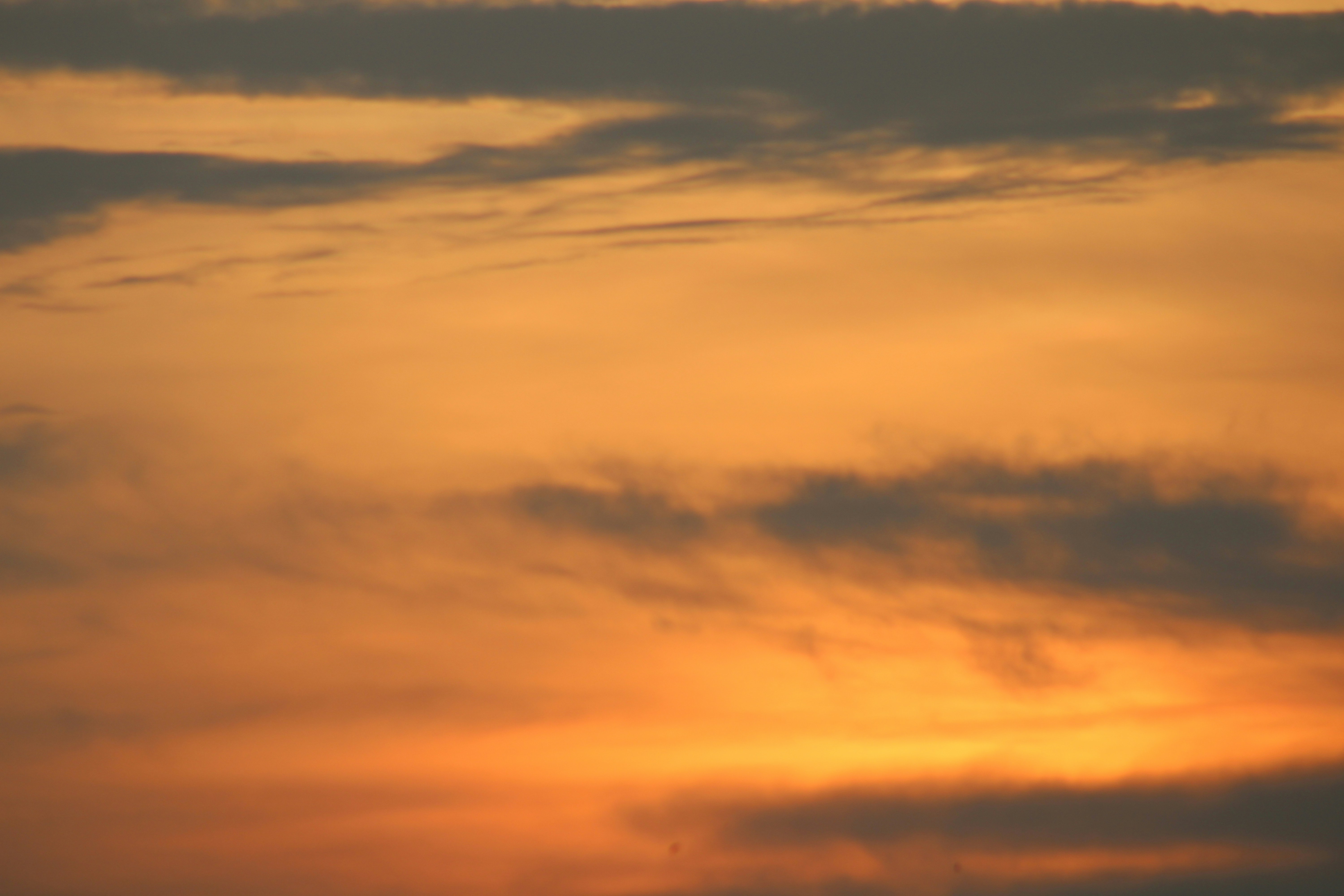 Photo by photoloveramico