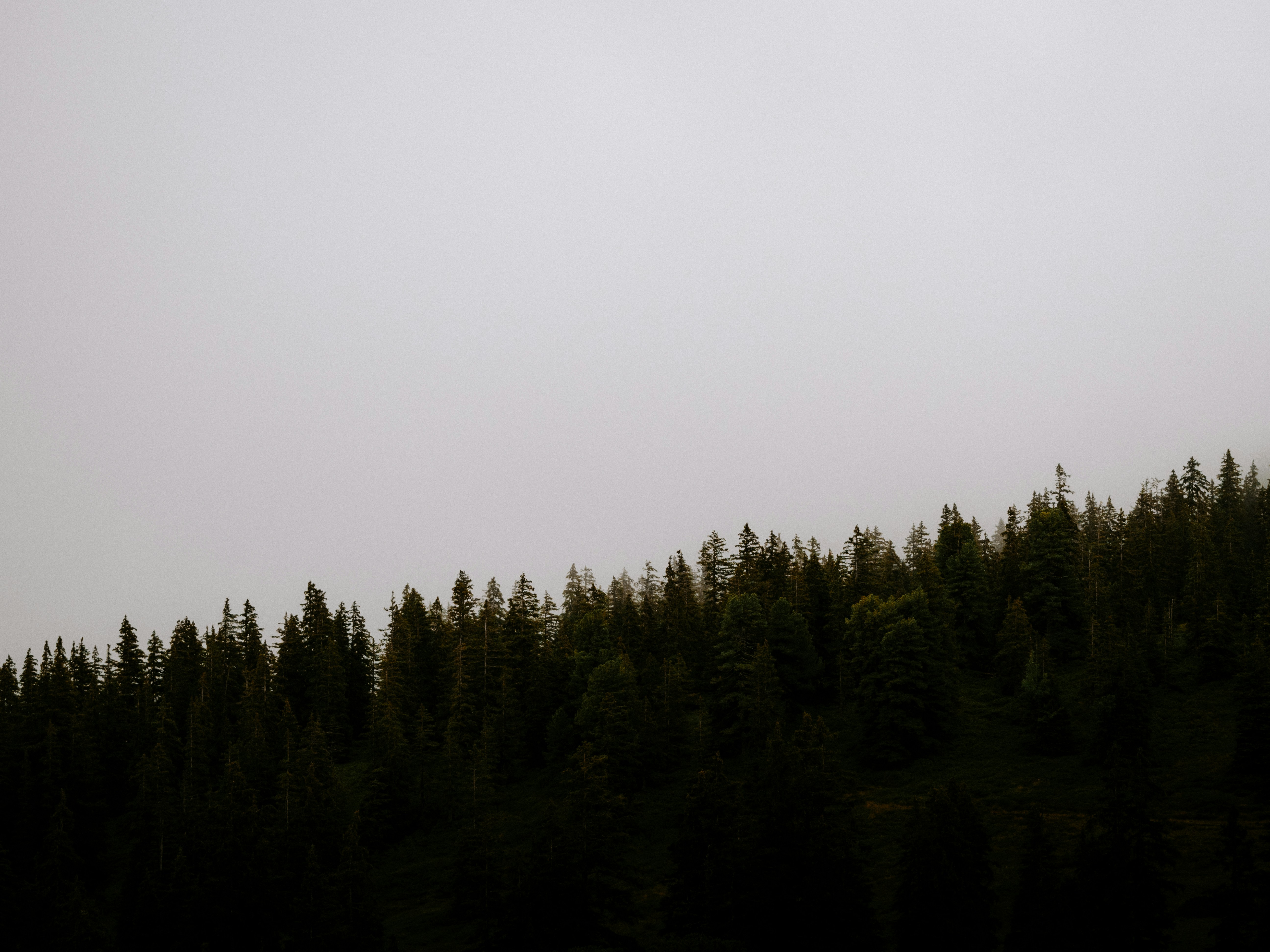 Photo by bengrayland