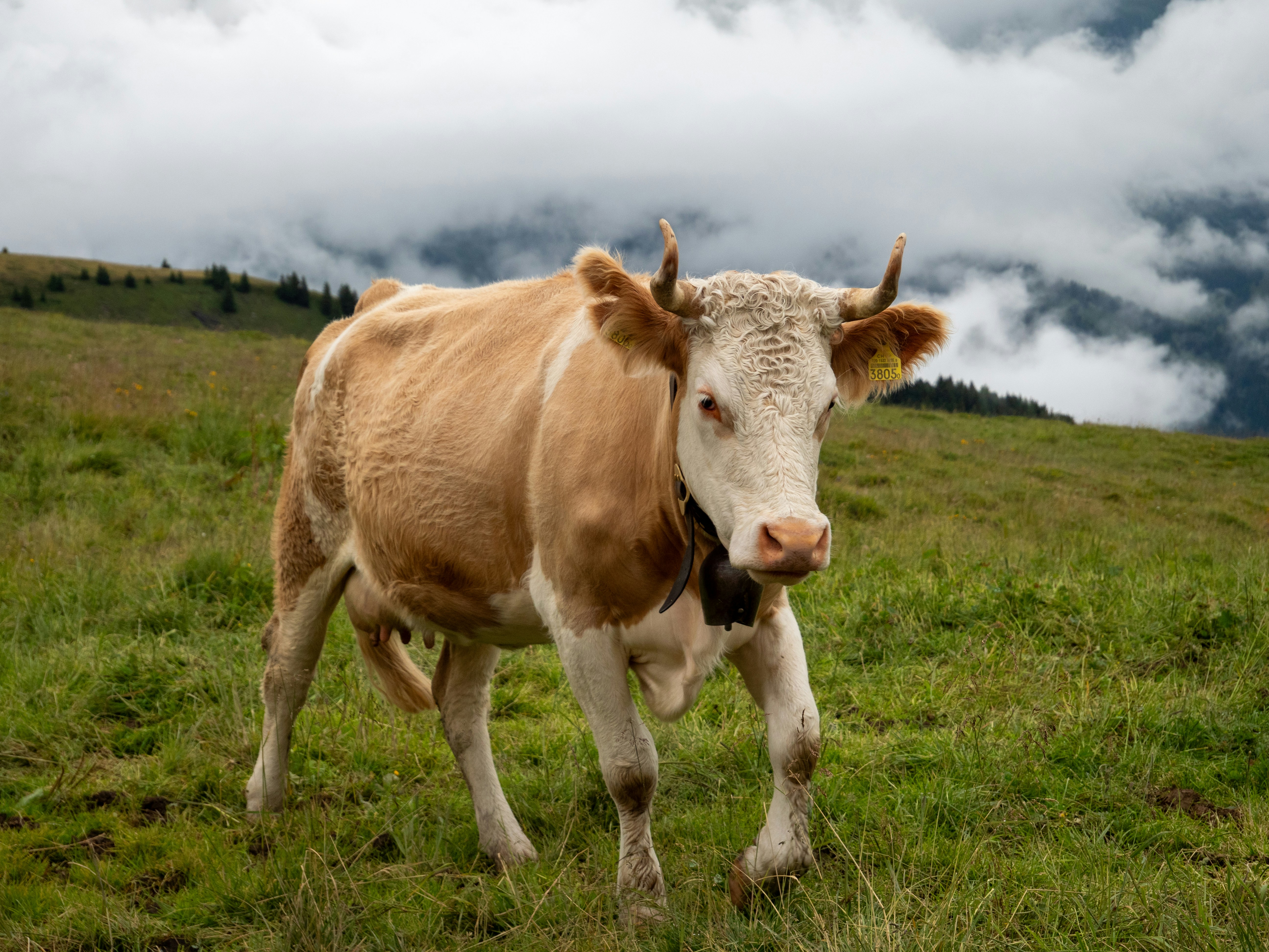 Photo by bengrayland