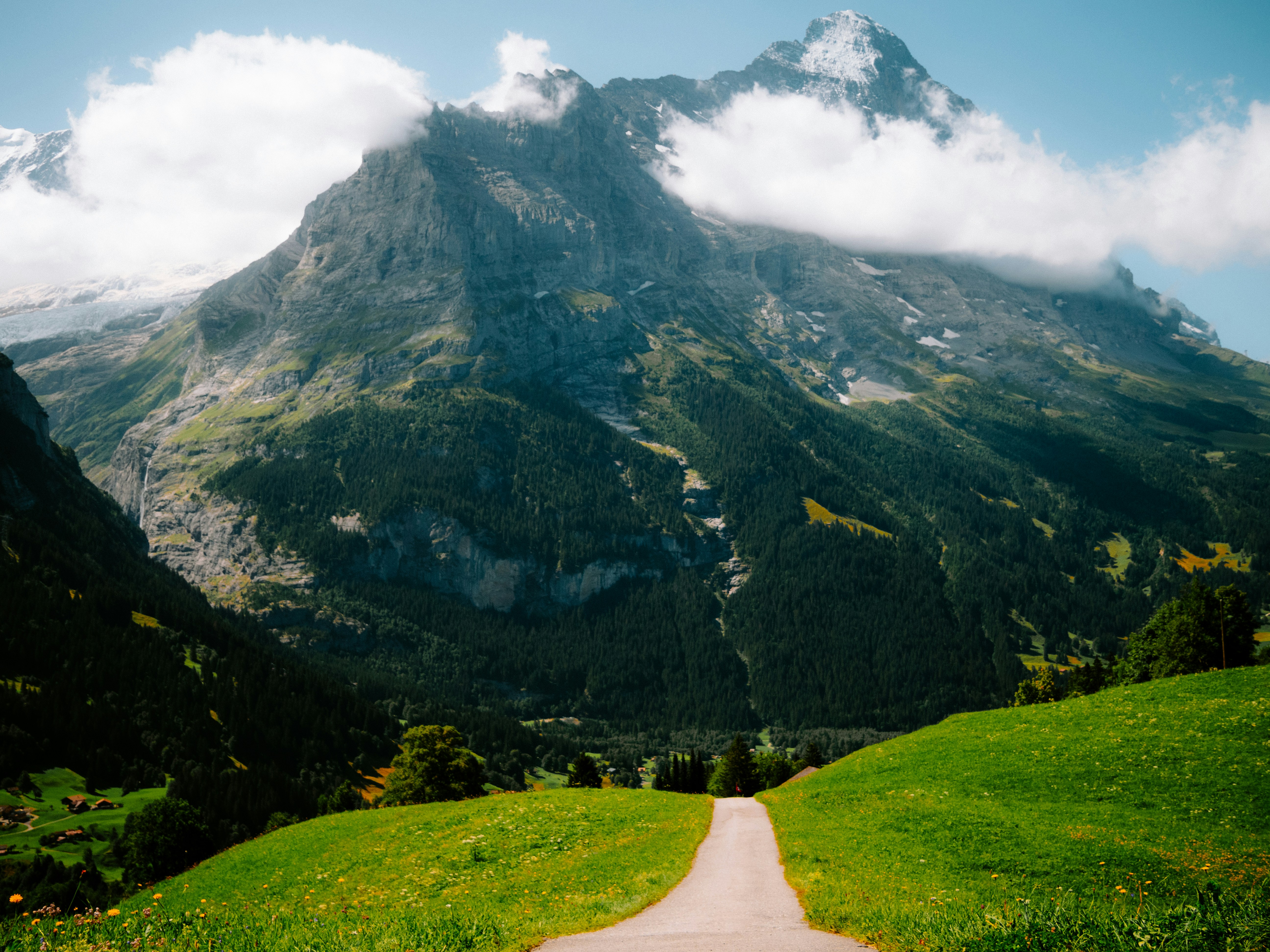 Photo by bengrayland