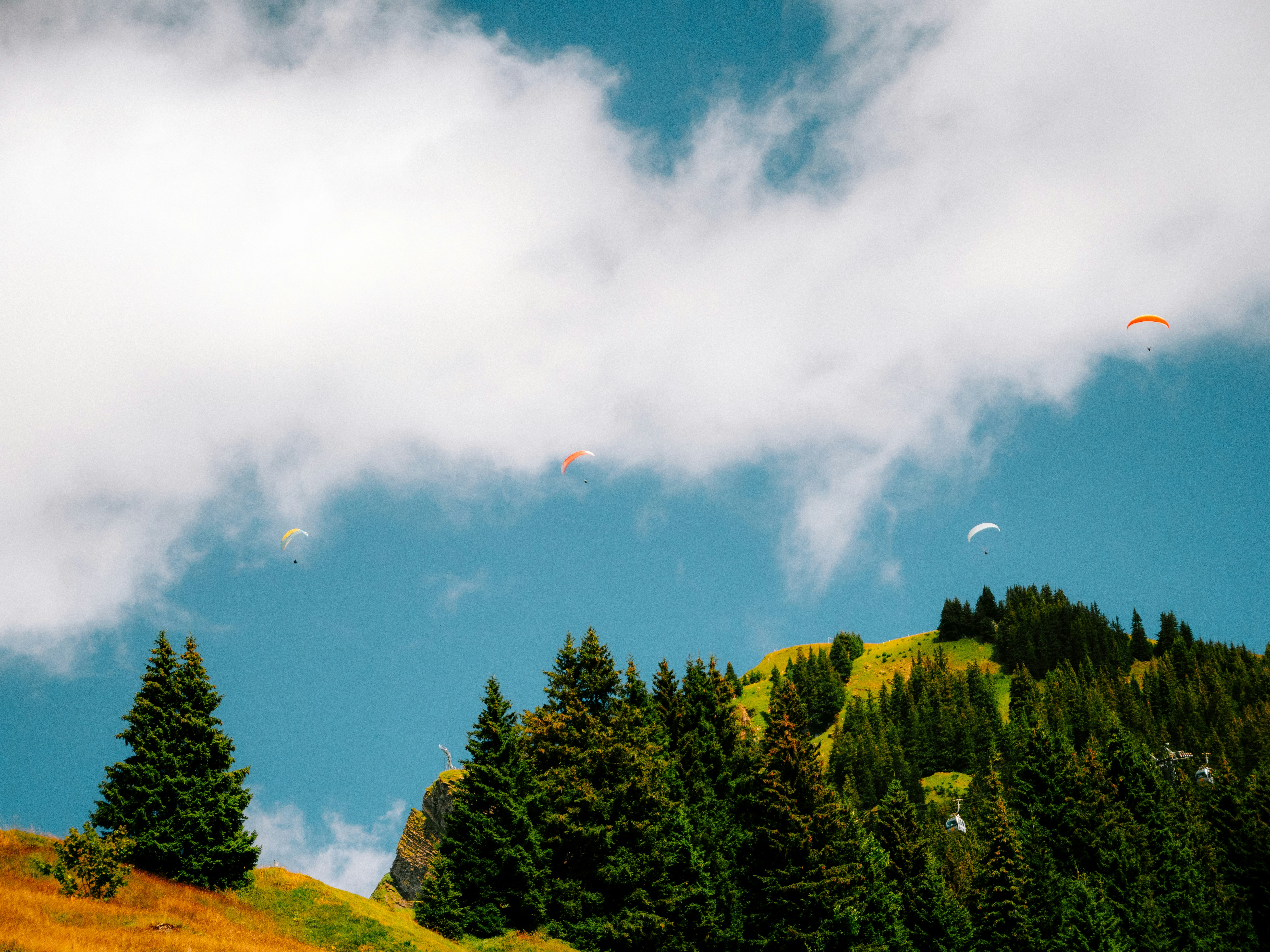 Photo by bengrayland