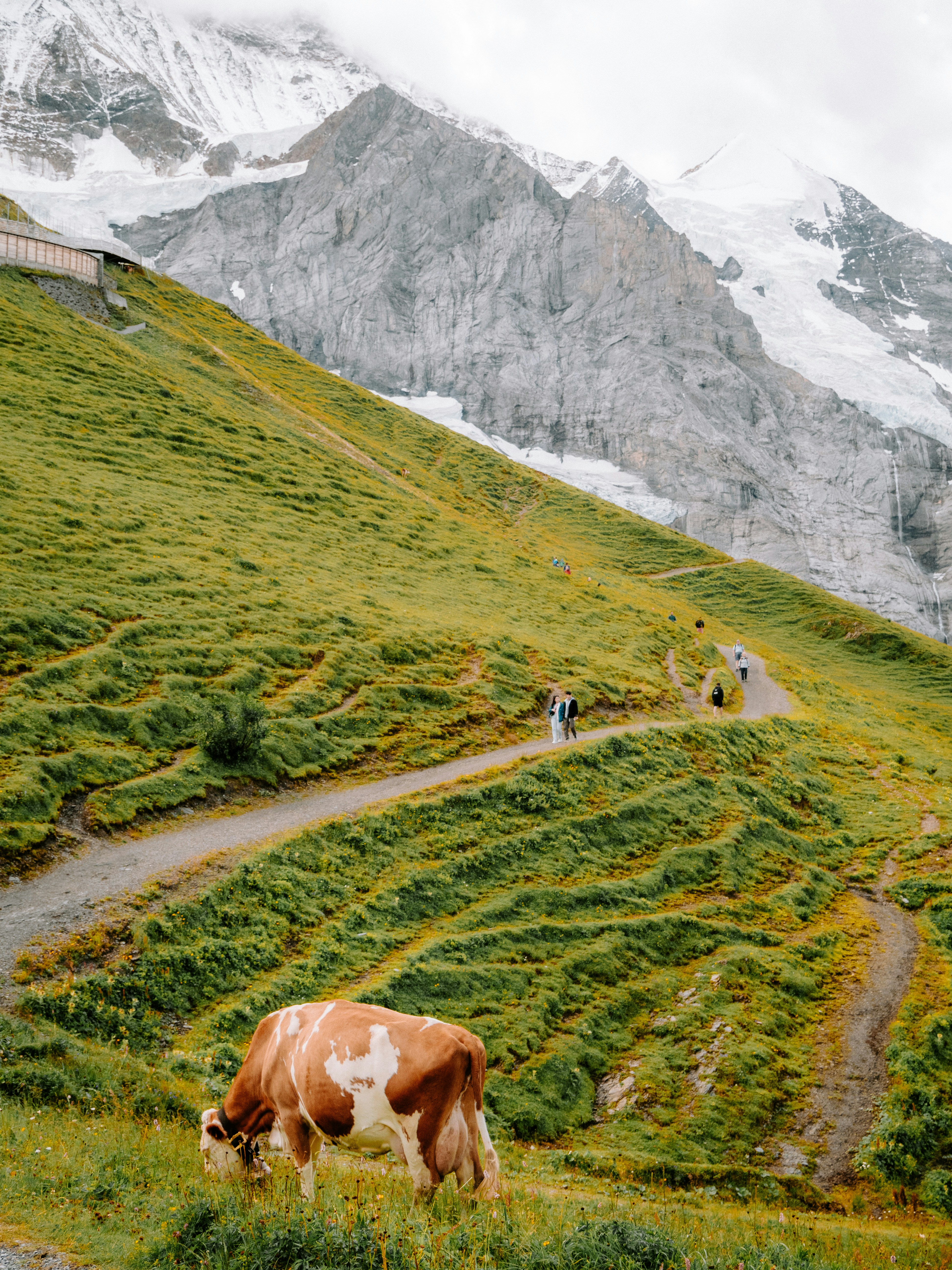 Photo by bengrayland